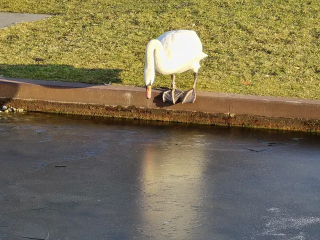 Foto: Heidrun Rosenberger