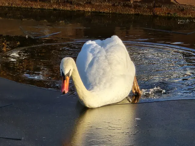 Foto: Heidrun Rosenberger