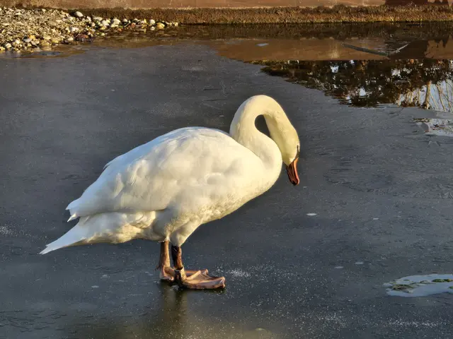 Foto: Heidrun Rosenberger