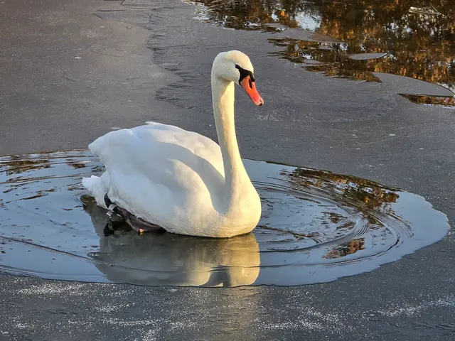 Foto: Heidrun Rosenberger