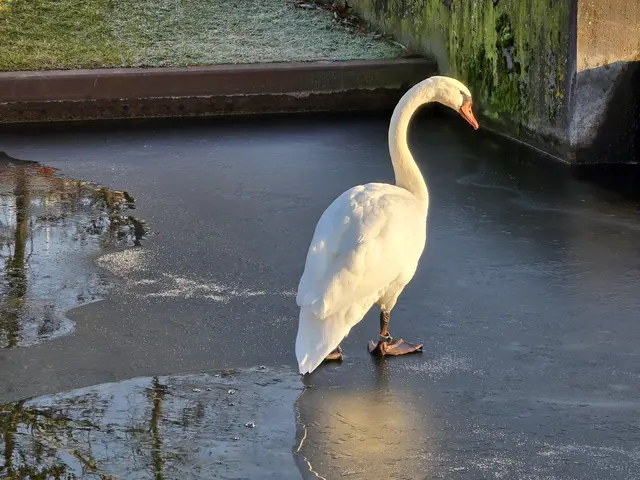 Foto: Heidrun Rosenberger