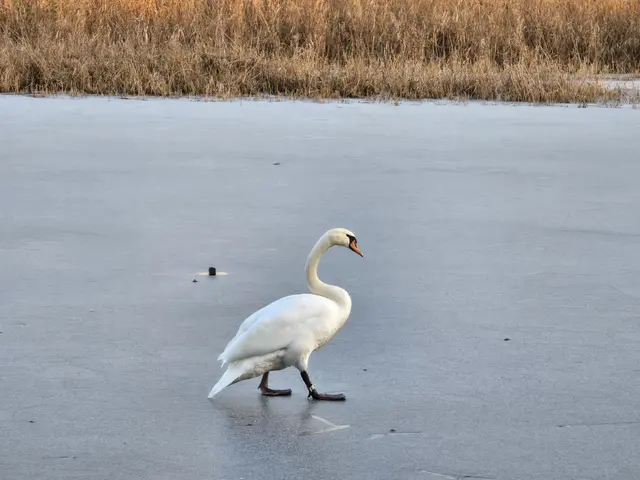 Foto: Heidrun Rosenberger