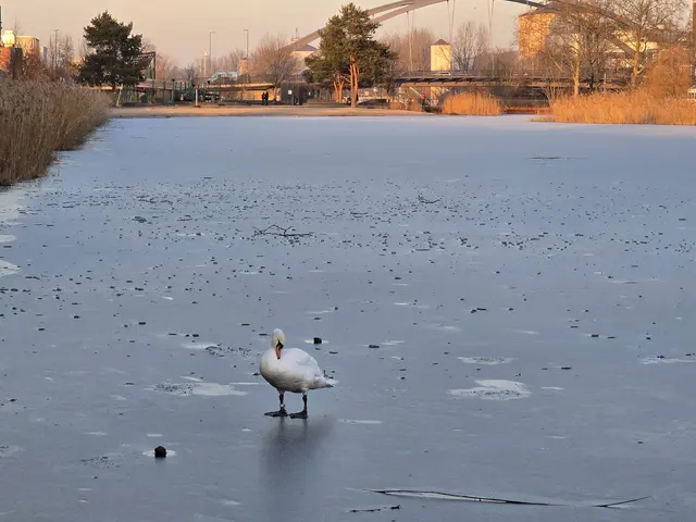 Foto: Heidrun Rosenberger