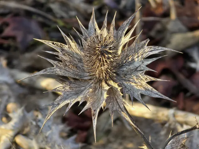 Foto: Heidrun Rosenberger