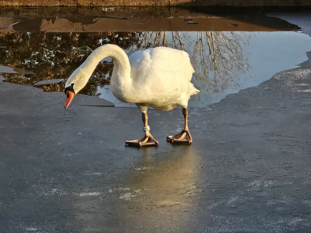 Foto: Heidrun Rosenberger