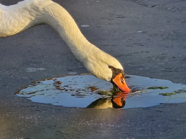 Foto: Heidrun Rosenberger