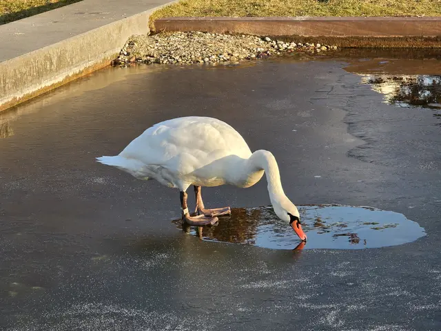 Foto: Heidrun Rosenberger