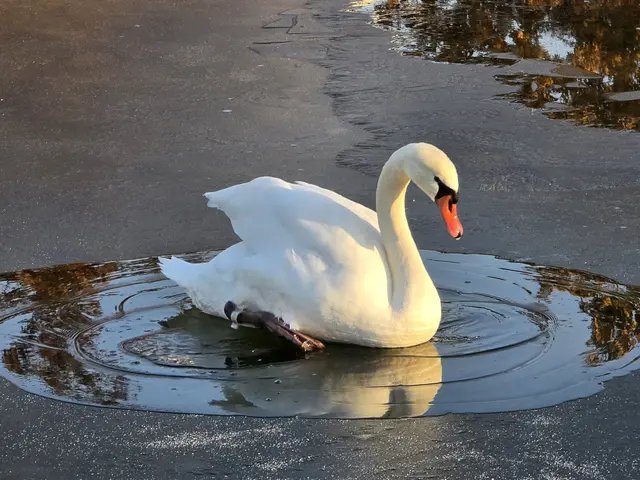 Foto: Heidrun Rosenberger