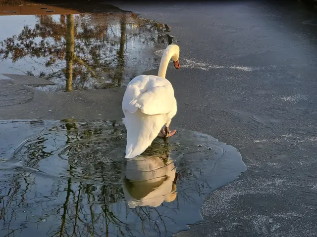 Foto: Heidrun Rosenberger