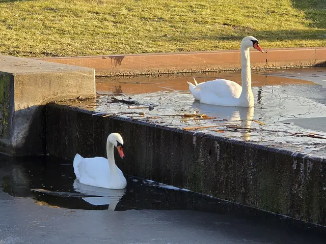 Foto: Heidrun Rosenberger