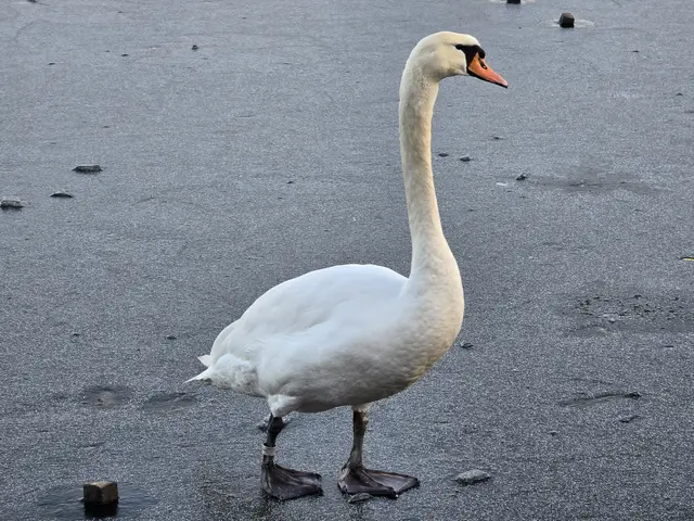 Foto: Heidrun Rosenberger