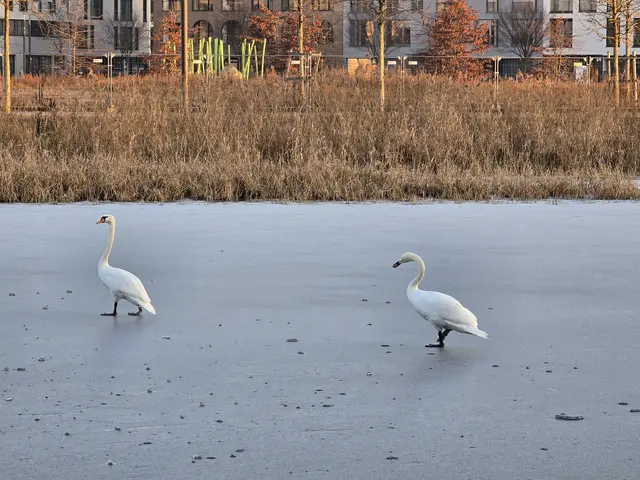 Foto: Heidrun Rosenberger