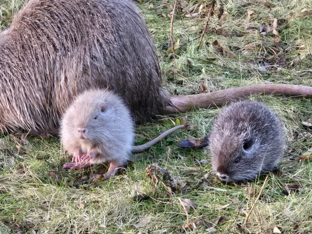Foto: Heidrun Rosenberger