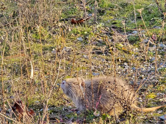 Foto: Heidrun Rosenberger