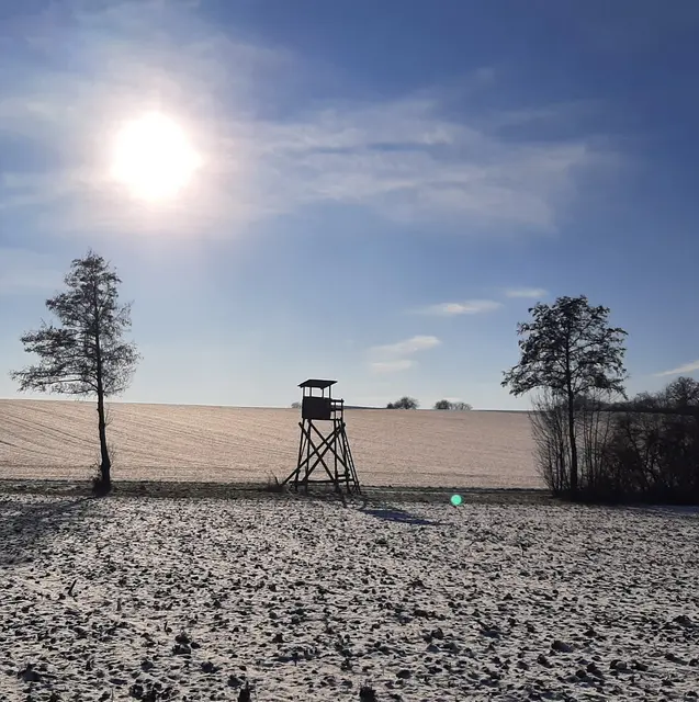 Foto: Annalies Walter