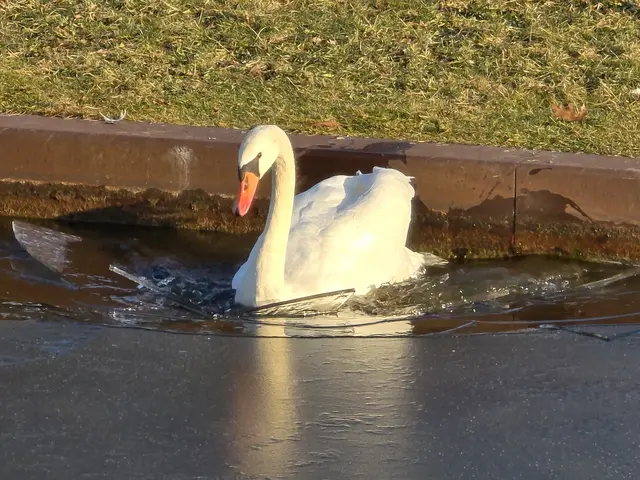 Foto: Heidrun Rosenberger