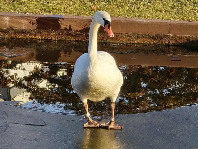 Foto: Heidrun Rosenberger