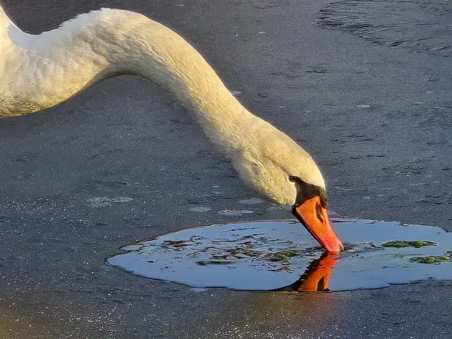 Foto: Heidrun Rosenberger