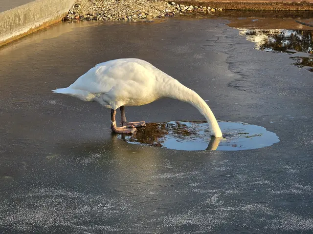 Foto: Heidrun Rosenberger