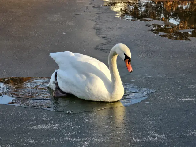 Foto: Heidrun Rosenberger