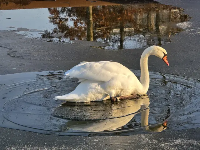 Foto: Heidrun Rosenberger
