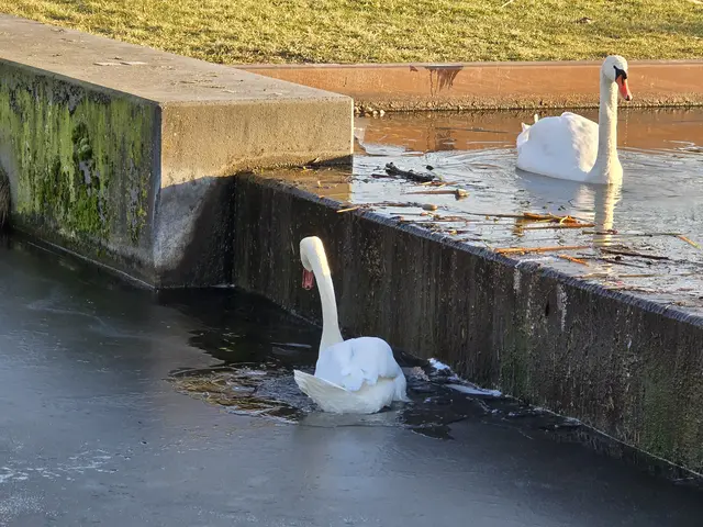 Foto: Heidrun Rosenberger