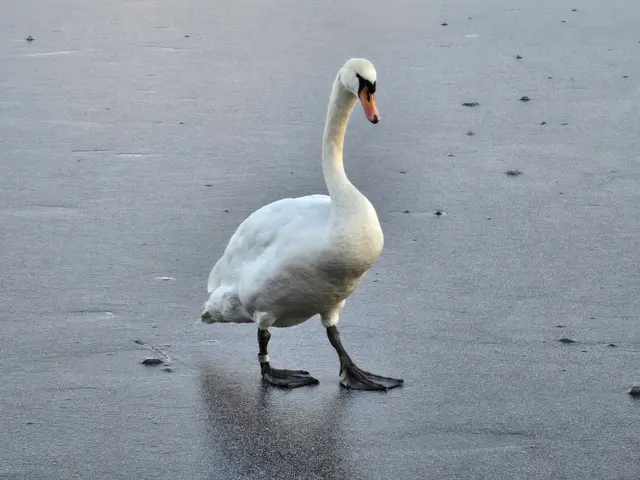 Foto: Heidrun Rosenberger