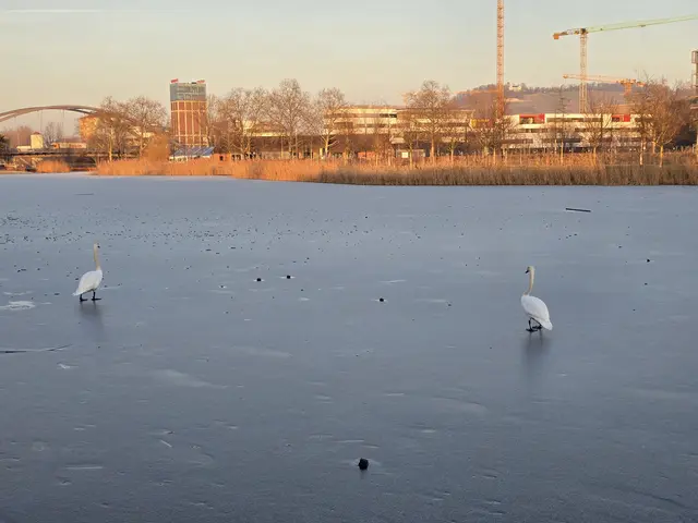 Foto: Heidrun Rosenberger