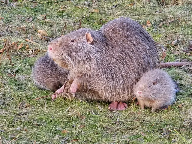 Foto: Heidrun Rosenberger