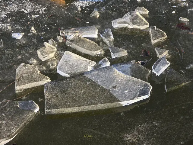 Foto: Heidrun Rosenberger