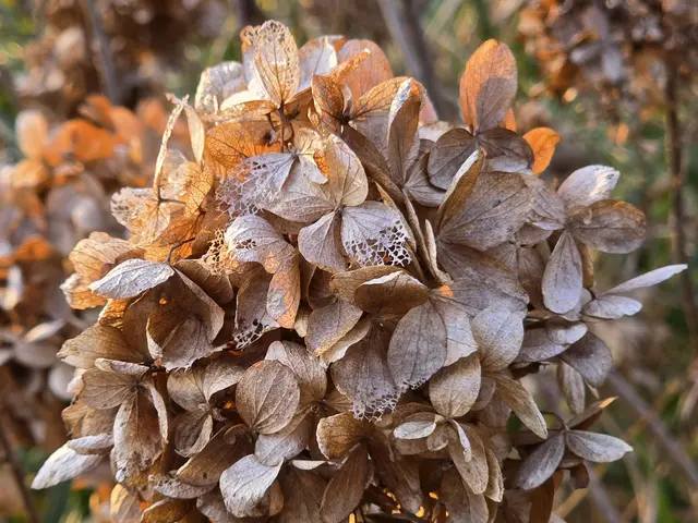 Foto: Heidrun Rosenberger