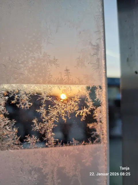 Foto: Tanja Kerner