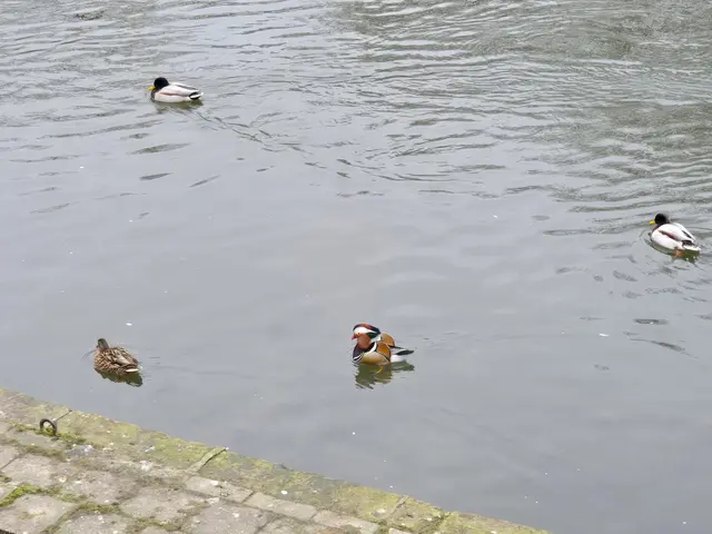 Foto: Heidrun Rosenberger