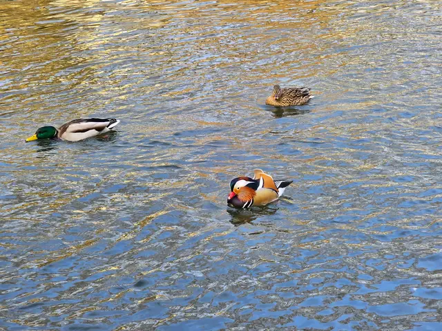 Foto: Heidrun Rosenberger