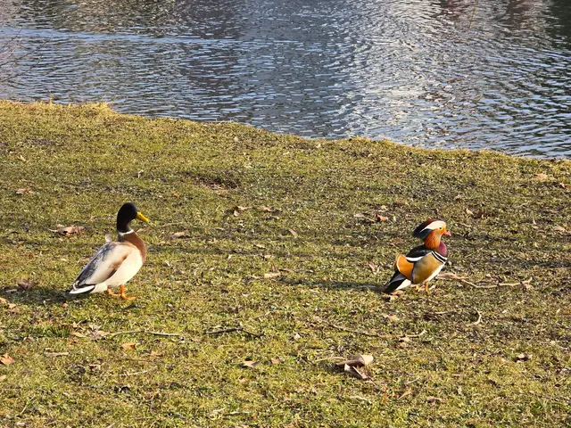 Foto: Heidrun Rosenberger