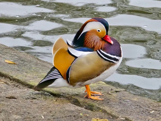 Foto: Heidrun Rosenberger