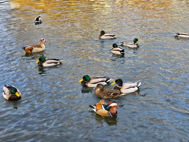 Foto: Heidrun Rosenberger