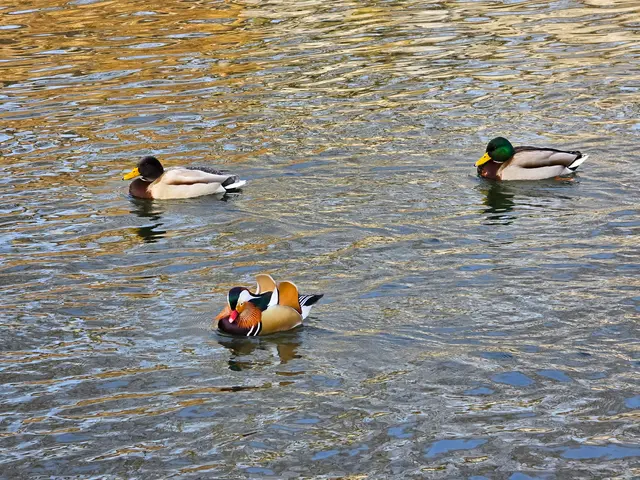 Foto: Heidrun Rosenberger