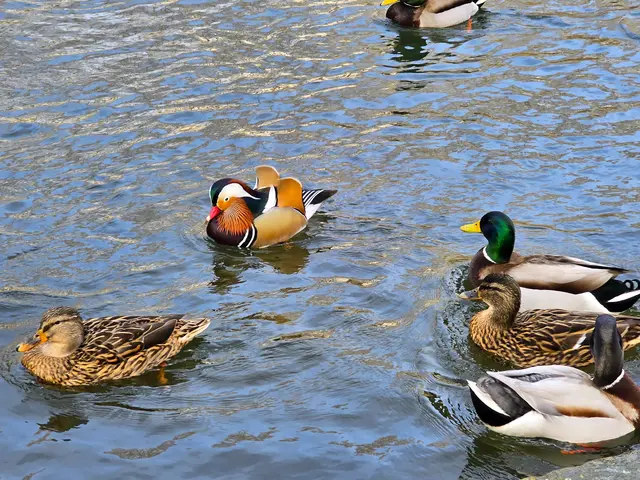 Foto: Heidrun Rosenberger