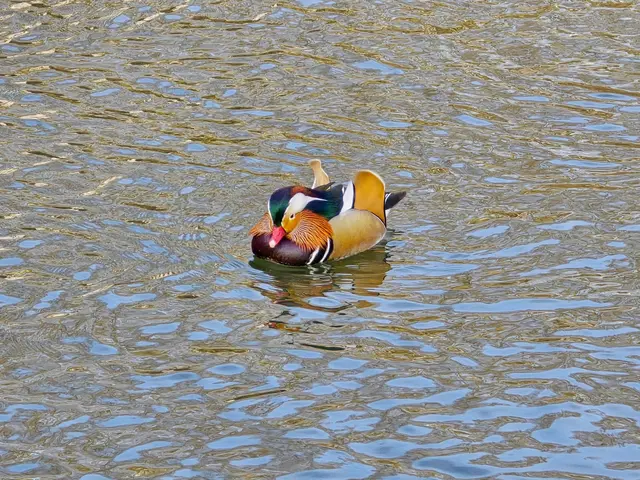 Foto: Heidrun Rosenberger