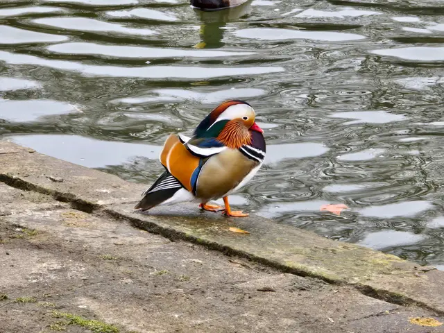 Foto: Heidrun Rosenberger