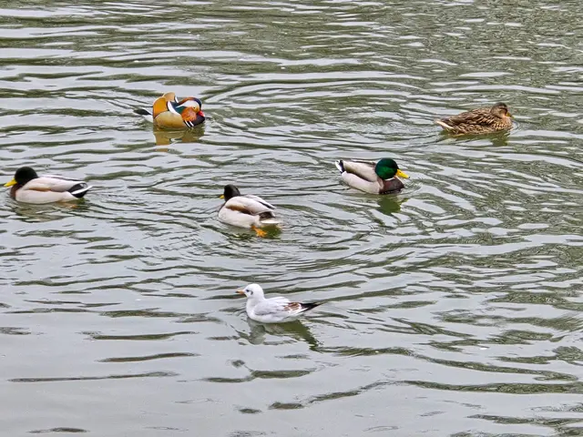 Foto: Heidrun Rosenberger