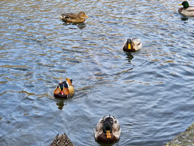 Foto: Heidrun Rosenberger