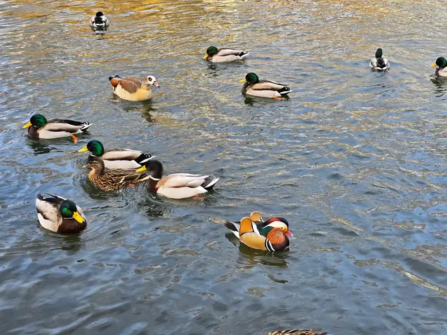 Foto: Heidrun Rosenberger