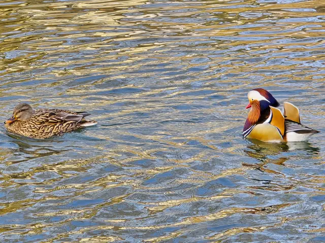 Foto: Heidrun Rosenberger