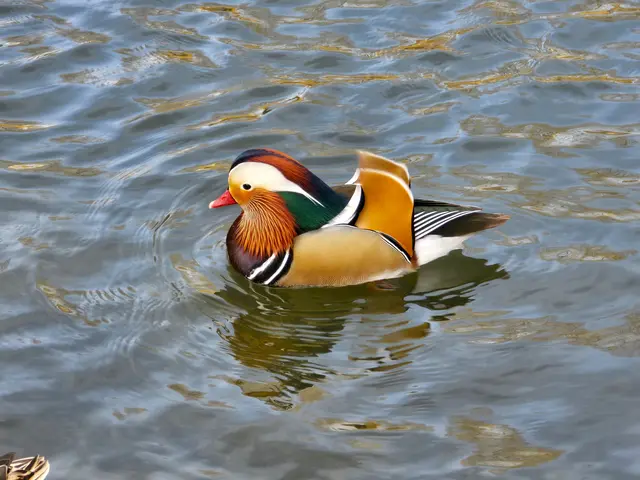 Foto: Heidrun Rosenberger