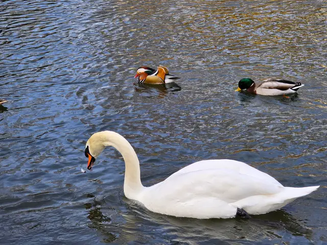 Foto: Heidrun Rosenberger