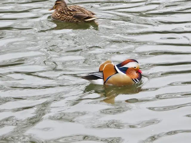 Foto: Heidrun Rosenberger