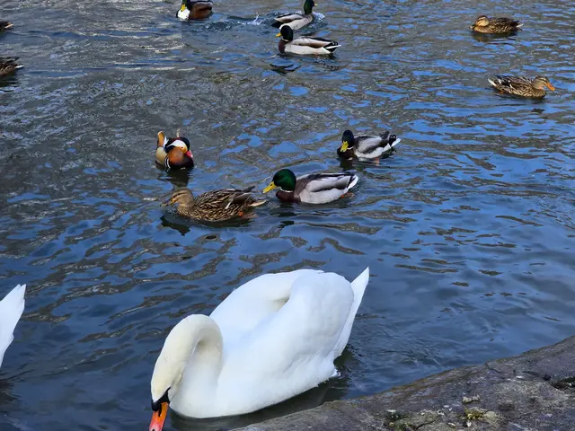 Foto: Heidrun Rosenberger