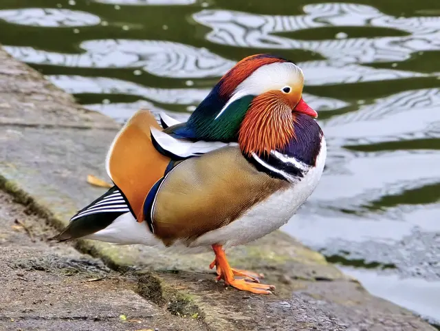 Foto: Heidrun Rosenberger